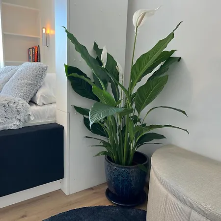 Blue Heaven Apartman *